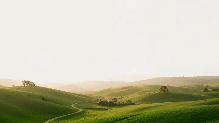 Wallpaper 203