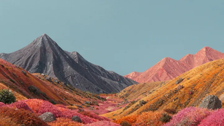 Wallpaper 228